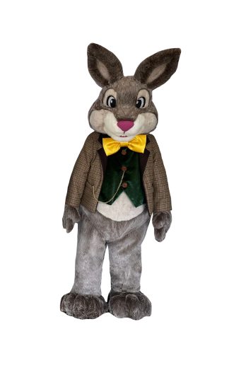 Seasonal character costumes